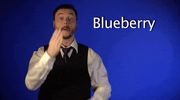 sign language blueberry GIF by Sign with Robert