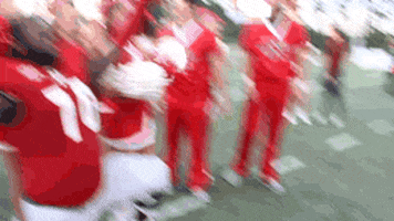 Nicholls GIF by GeauxColonels