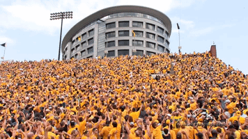 University Of Iowa Football GIF by University of Iowa Hawkeyes Athletics