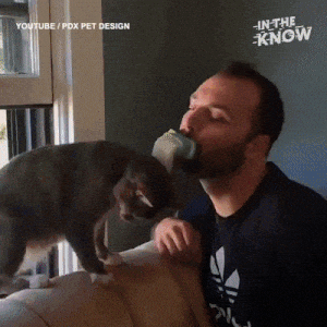 giphy.gif?cid=4d1e4f299374c11e479ed5eb89cb411c2151d9761ad939b0&rid=giphy.gif