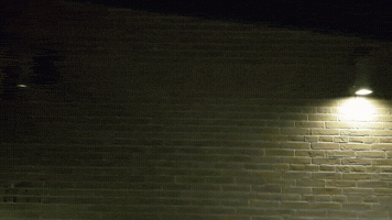 giuliafelderer-f7d3  GIF