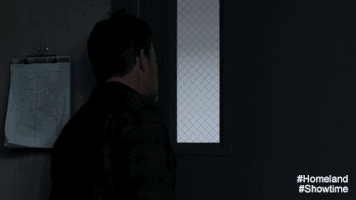 new york homeland GIF by Showtime