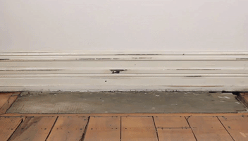 wedlock trooper choc high ss GIF