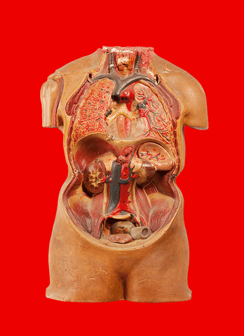 flaqparis flaqparis GIF