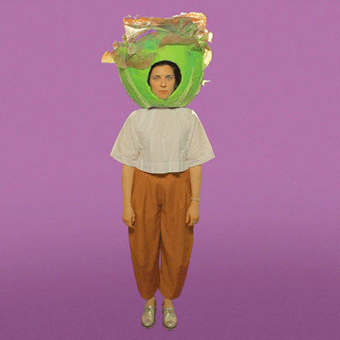 Lettuce Head Reaction GIF by Salad for President