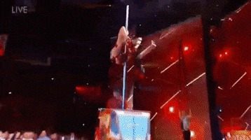 GIF by Miss USA
