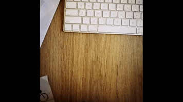 kevinchospitia animation loop GIF