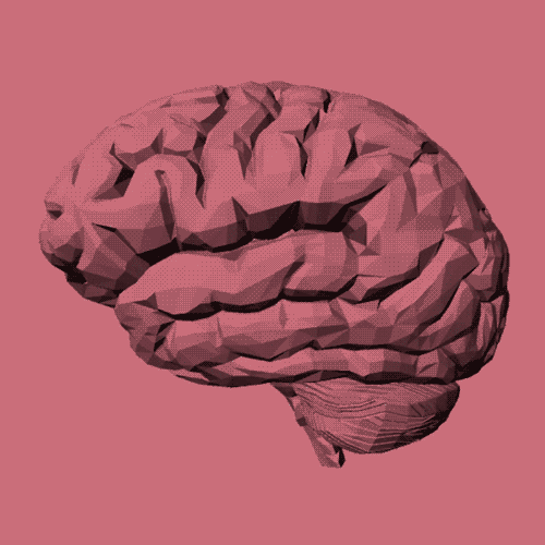 3D Brain GIFs - Get the best GIF on GIPHY