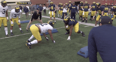 excited michigan football GIF by Michigan Athletics