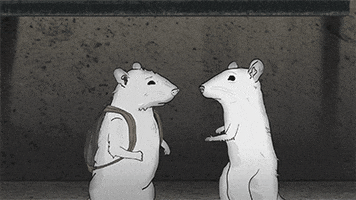 mark duplass cats GIF by Animals