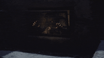 michael scofield fox GIF by Prison Break
