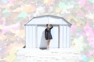 malxanto  GIF