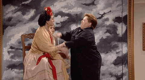 melissa mccarthy fight GIF by Saturday Night Live