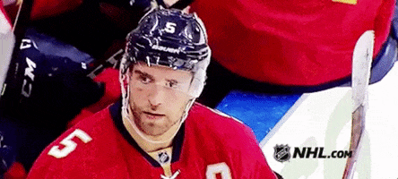 ice hockey fl panthers GIF by NHL