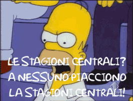 paologazzola nope season homer central GIF
