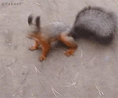 excited bring it GIF