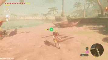 nintendoswitch zelda switch legend-zelda legend-zelda-breath-wild GIF