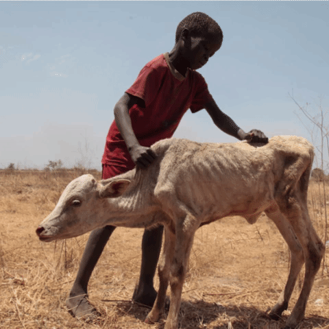 DECappeal animation gif baby charity GIF