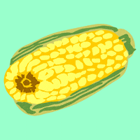 Corn On The Cob Gif Artist GIF by bad arithmetic