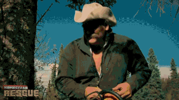 200.gif?cid=fc005b08f34bce3e8604cefc51e824b5ea1d9fb5e95ab1cb&rid=200.gif&ct=g