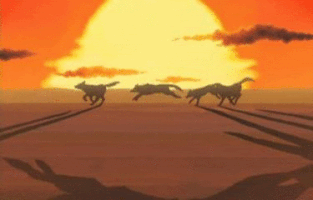 Fiver_Bunny anime run wolfs rain GIF