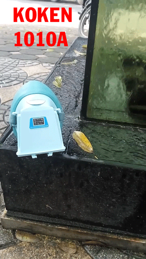 lechung  GIF