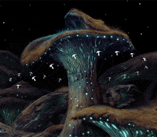 space mushrooms GIF by Amanita Design