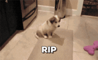 melgar  GIF