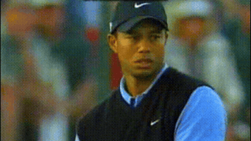 black-ab  GIF