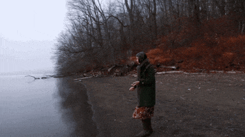 Hudson River Winter GIF by erica shires