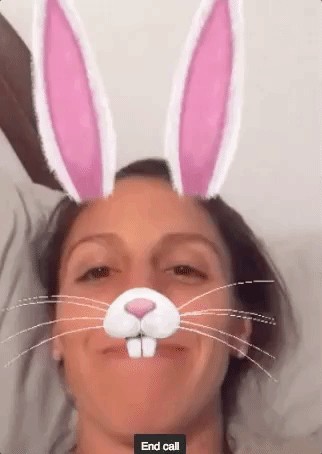 rayroa rabbit tampa carrots GIF