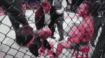 mrdaba  GIF