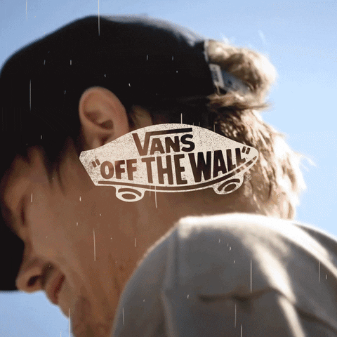 marianoorell skate skateboarding vans rowley GIF