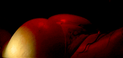 online  GIF