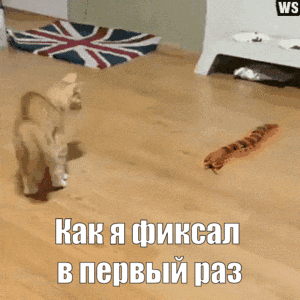 sergeyatroschenkov  GIF