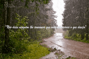 carinhoseluxogmailcom  GIF