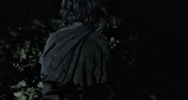 the woods GIF by Lionsgate