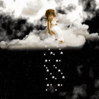hossein  GIF