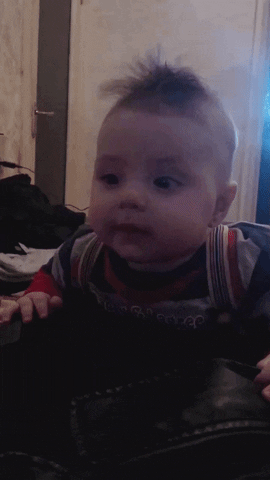 Busakoo GIF