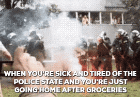 Groceries Police State GIF