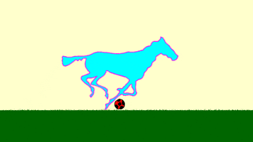 floramartyr football animation horse muybridge GIF