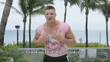 airbeagle gronk GIF