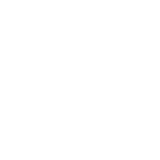giro sport design