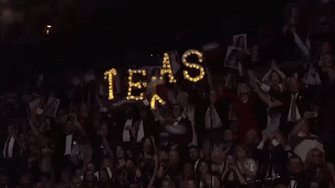 texas GIF by Miss America