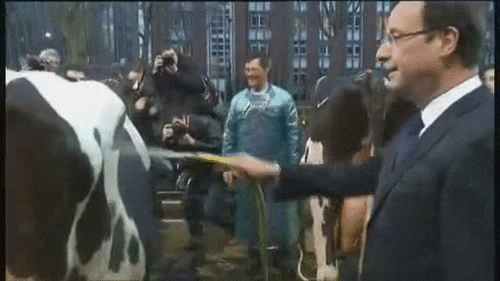 Francois Hollande Wtf GIF by franceinfo - Find & Share on GIPHY