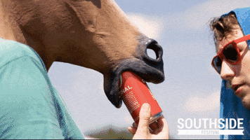 horse mask GIF by Southside Festival