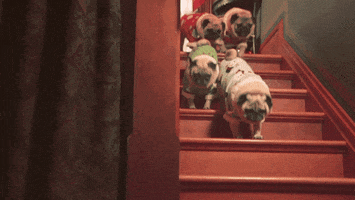 200.gif?cid=fc005b08deecffb172180741605d8a173467ecbc59cc3a61&rid=200.gif&ct=g