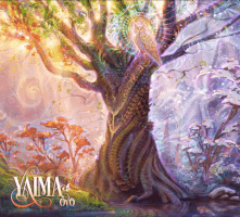 simonhaiduk trippy psychedelic nature tree GIF