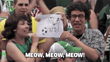 Fred Armisen Cats GIF by IFC