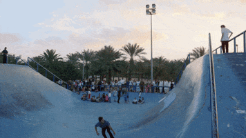 Skateboarding We Are Blood GIF by EchoBoom Sports